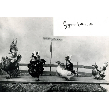 Gymcana. Contessa Cora Savorgnan di Brazzà, Novembre 1904
